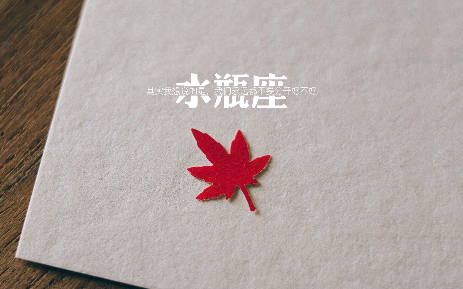 _明星运动员的幕后故事：坚持与梦想的交织_，运动明星的励志故事