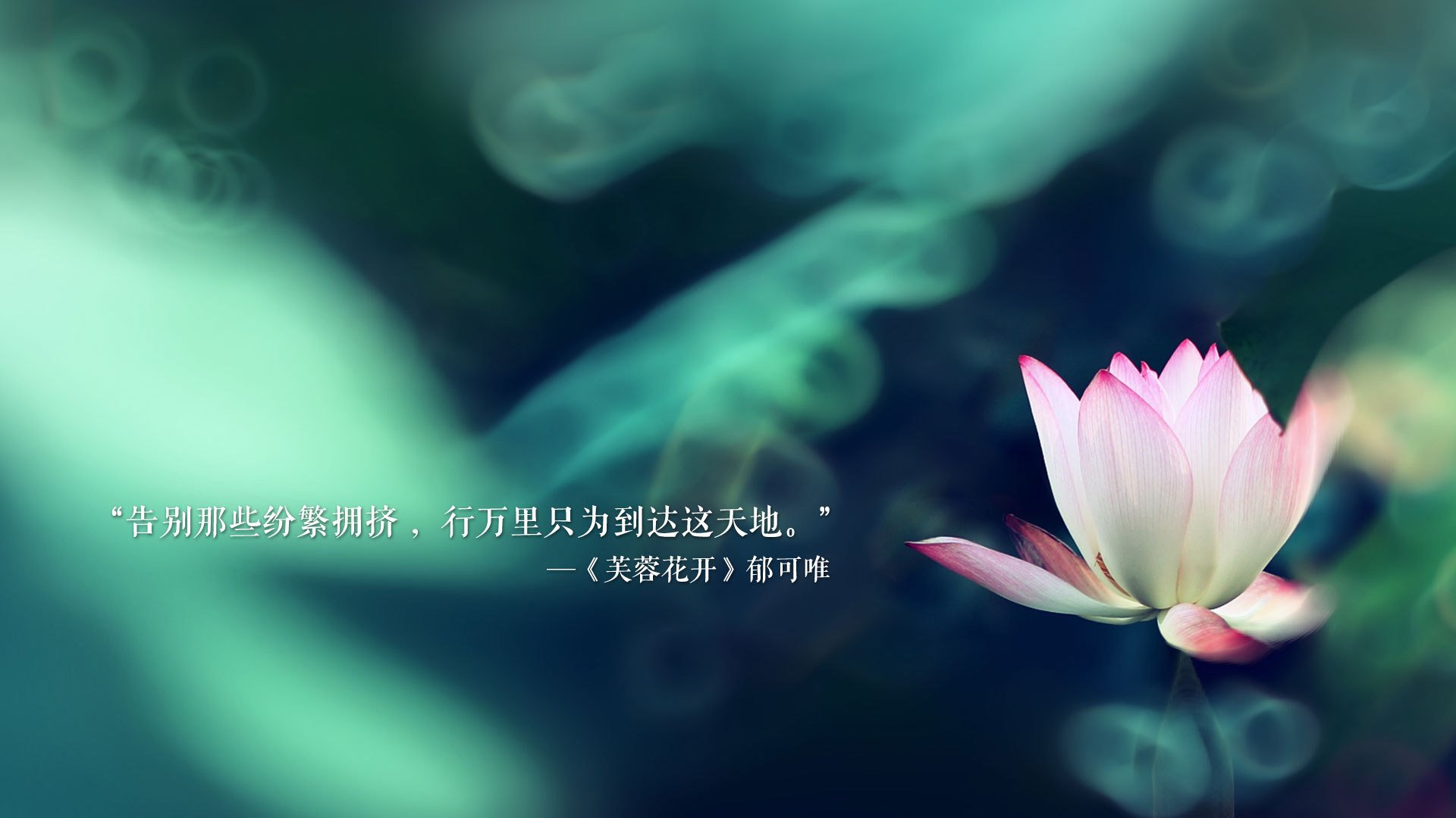 开云入口-_水中雕塑比赛：科技点缀的艺术运动_，水下雕塑