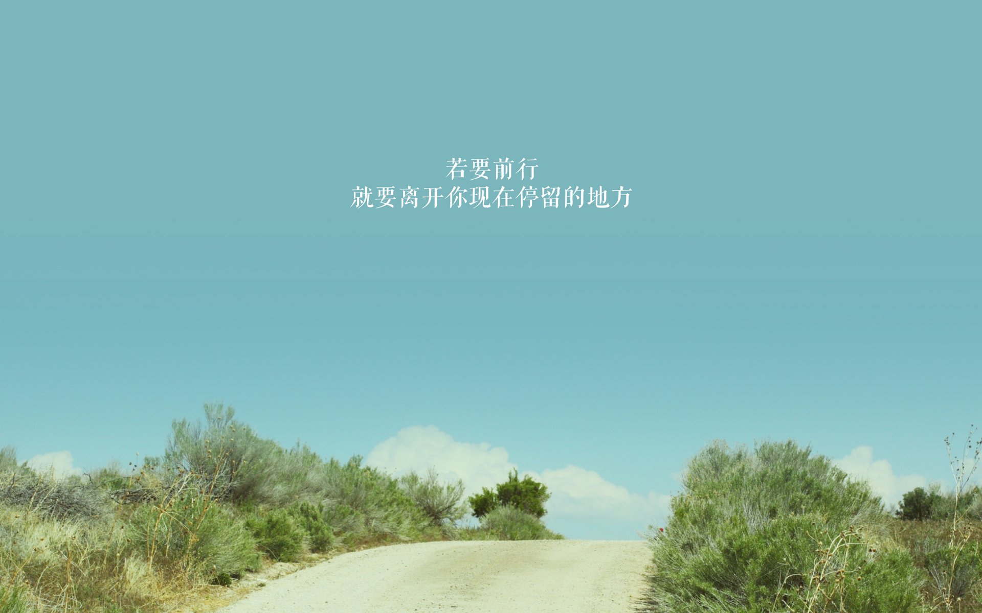 _青少年自行车骑行节：绿色出行新风尚_，青年自行车骑行活动
