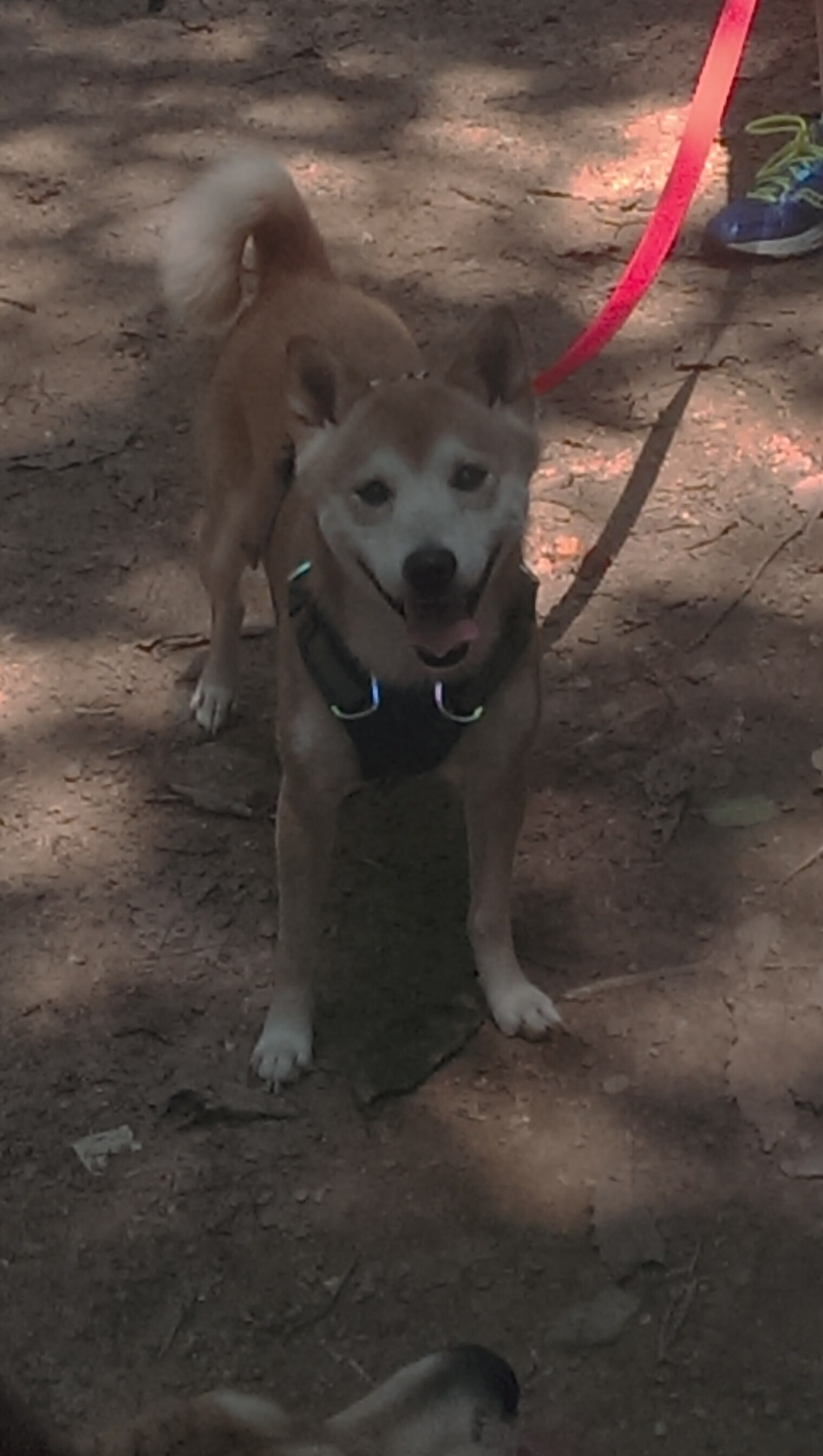 开云·Kaiyun网页版-运动装备质量标准制定，运动装备质量标准制定原则