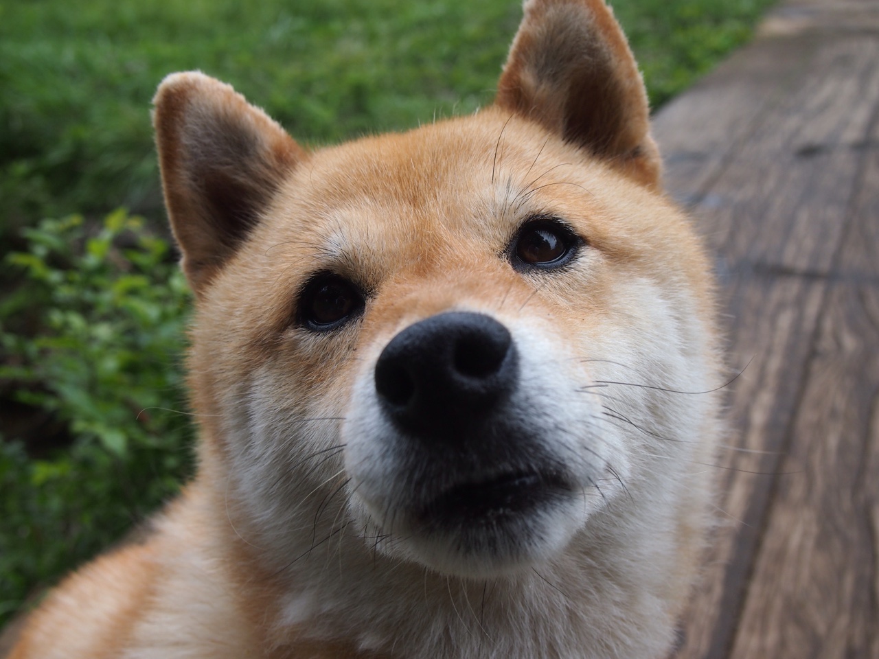 高校运动心理学服务体系完善路径,运动心理学在大众锻炼中有哪些作用