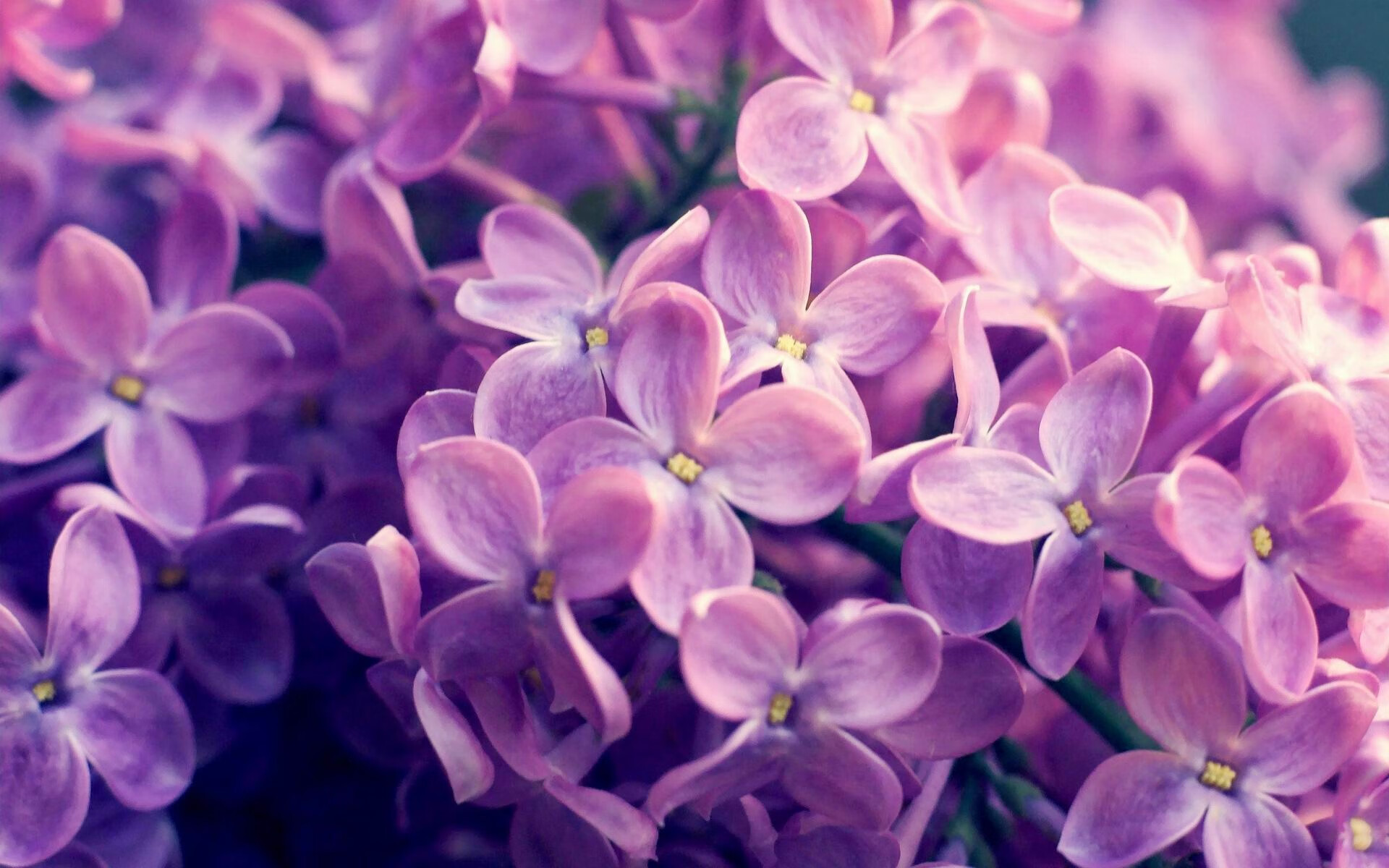 CBA联赛吸引更多年轻球迷参与，跟我说说cba联赛的情况呗