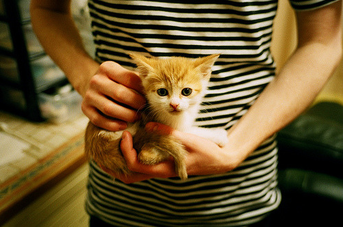 中国攀岩队完成高原耐力集训，中国攀岩队完成高原耐力集训了吗