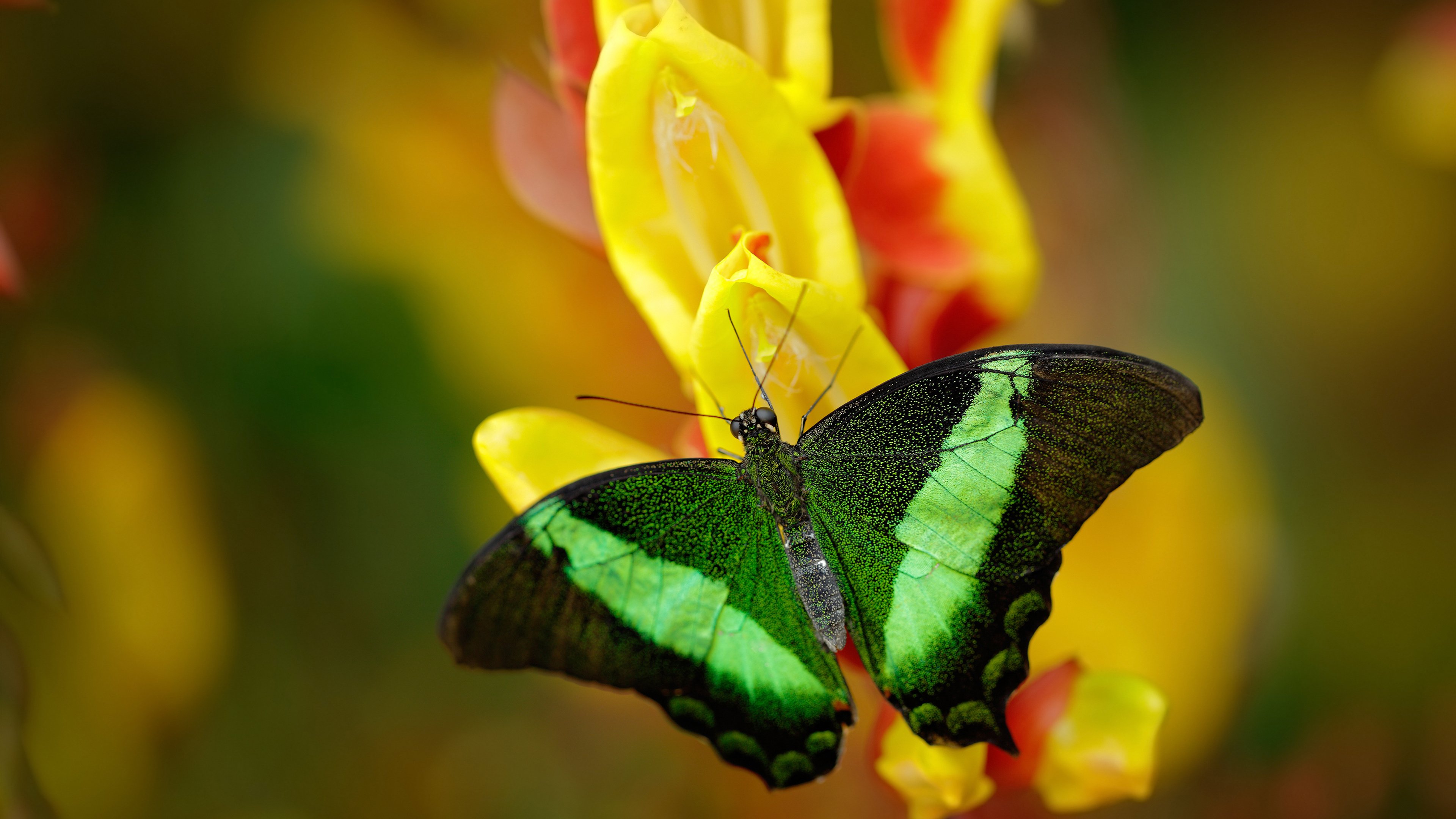 Kaiyun APP-体育新闻中心上线智能体育新闻编辑辅助系统，体育新闻报道栏目