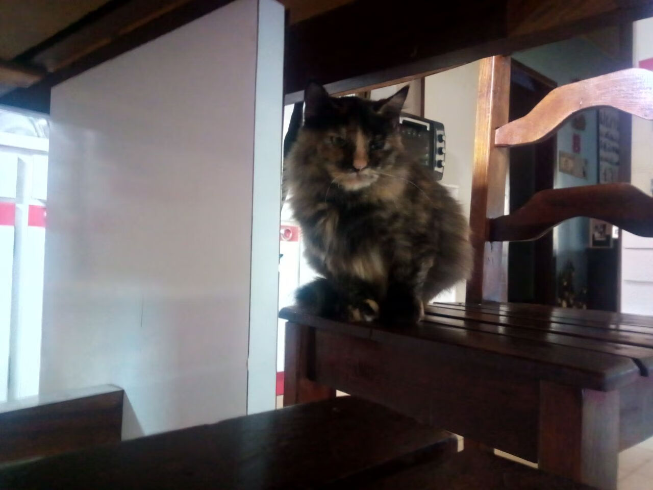 kaiyun.com-印度赛制的演变与发展：探索更合理的竞争结构，印度40强赛