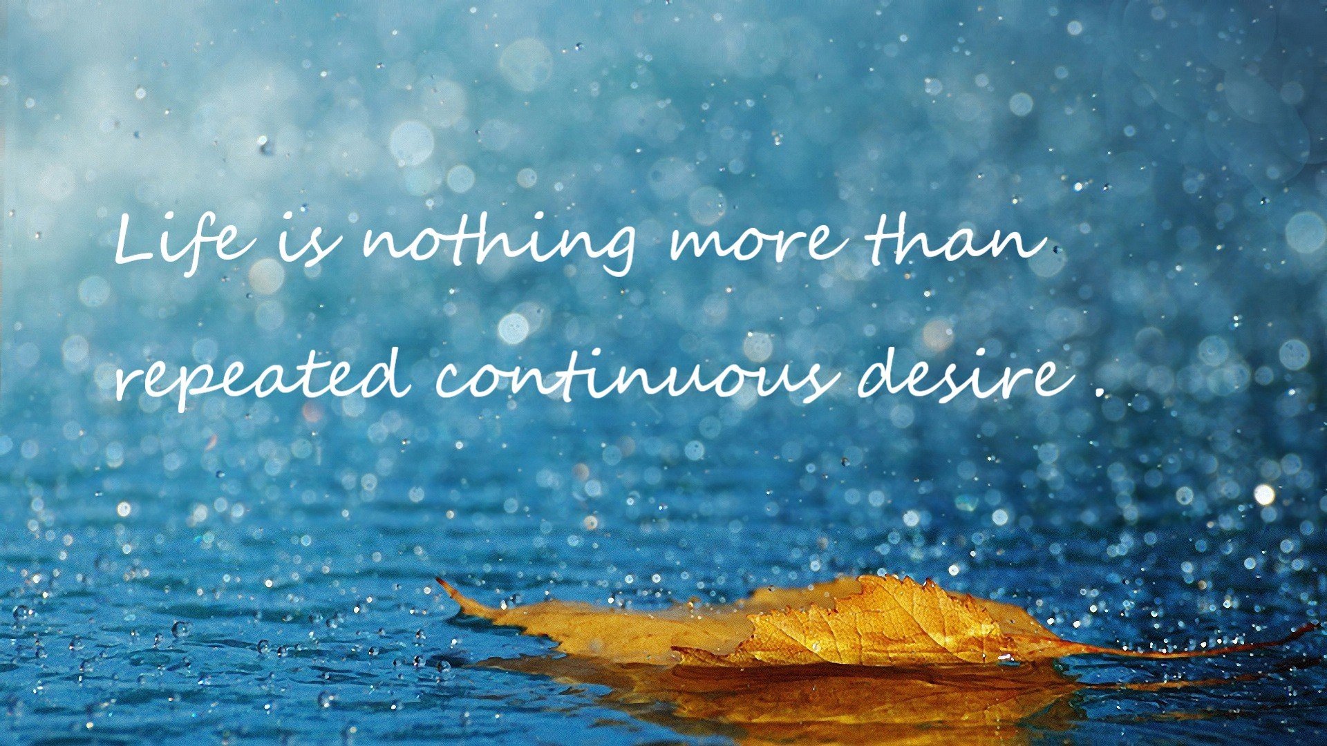 体育新闻中心同步更新高风险赛事应急响应级别说明