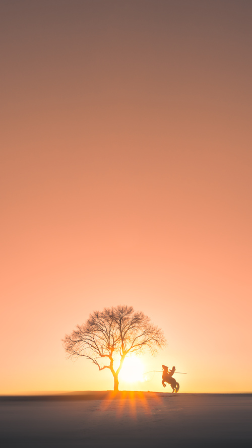 美洲杯战术阵型的演变轨迹，美洲杯规律